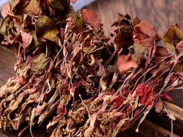 Super Grade Dried Anoectochilus Roxburghii Arrives in Specialty Markets