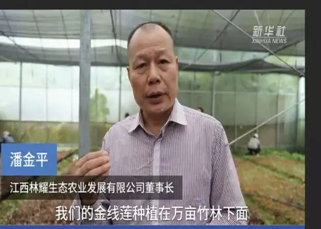 Pan Jinping, Chairman of Jiangxi Linyao Ecological Agriculture Development Co., Ltd., interviewed by Xinhua News Agency