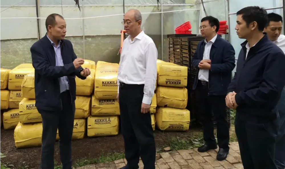 Xie Guanghua, Party Secretary and Director of Jiangxi Provincial Administration of Traditional Chinese Medicine, conducts research at the Anoectochilus planting base