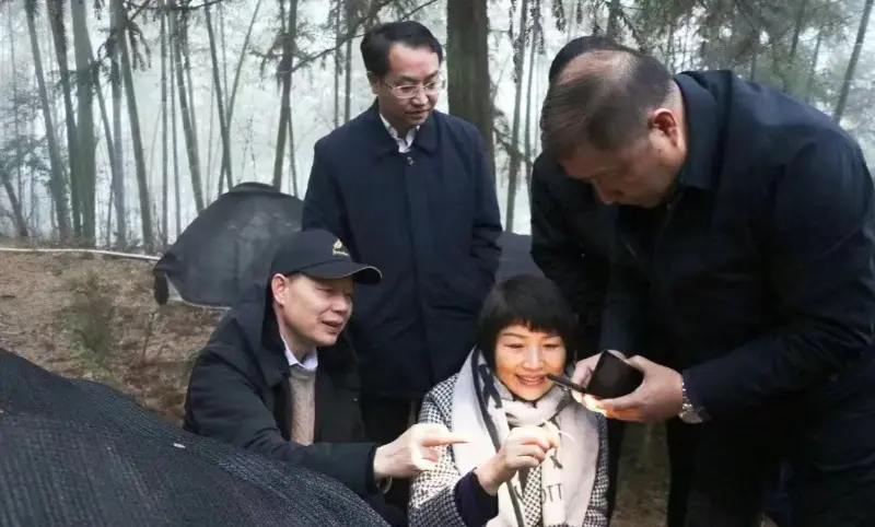 Lu Xiaoqing, former Chairman of Jiangzhong Pharmaceutical and Current Member of the Standing Committee of Jiangxi Provincial Party Committee & Director of the Publicity Department, Inspects Our Planting Base